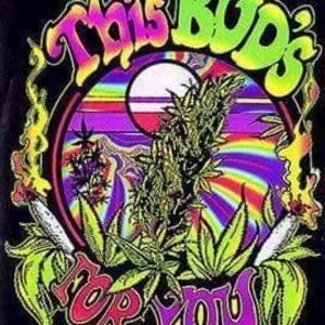 Meet your Posher, George